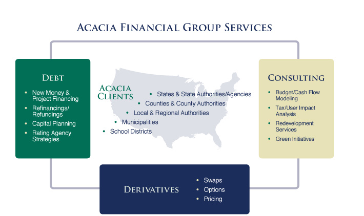 Professional Financial Advisory Services including consulting, debt strategies, and derivatives